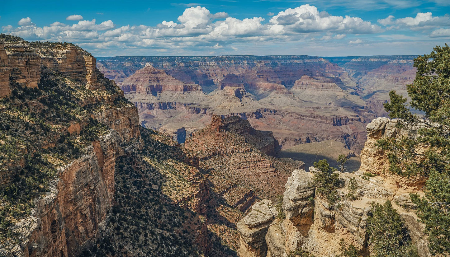 Grand Canyon South Rim Wide Angle View Fabric Panel - NPGC-003C