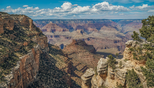 Grand Canyon South Rim Wide Angle View Fabric Panel - NPGC-003C