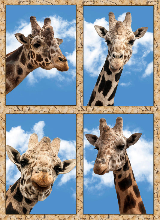 Four Giraffes Fabric Panel - AEX-007C