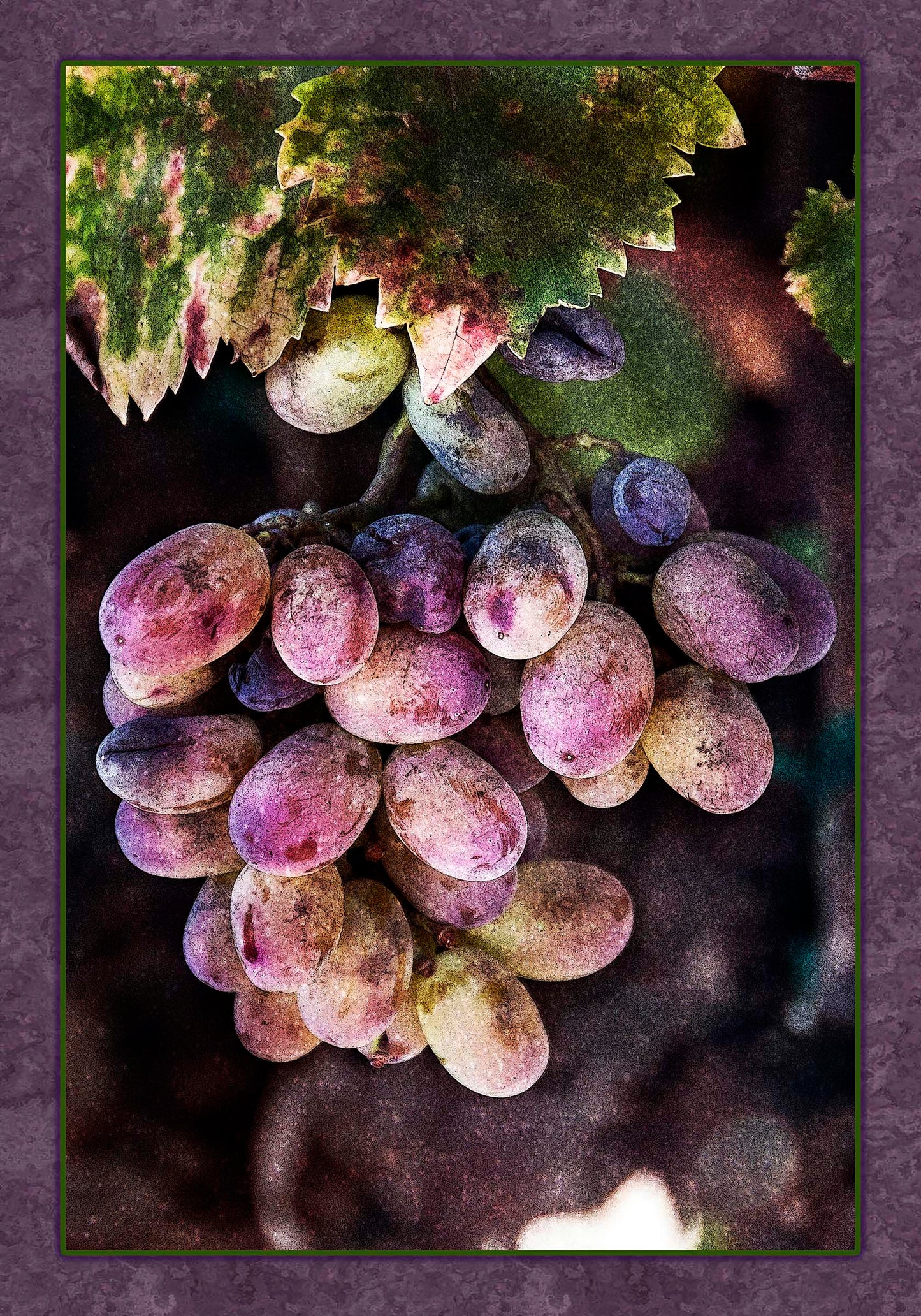Velvety Grapes Fabric Panel - FAV-003C