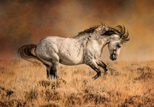 Prancing Wild Stallion Fabric Panel - AHS-008C