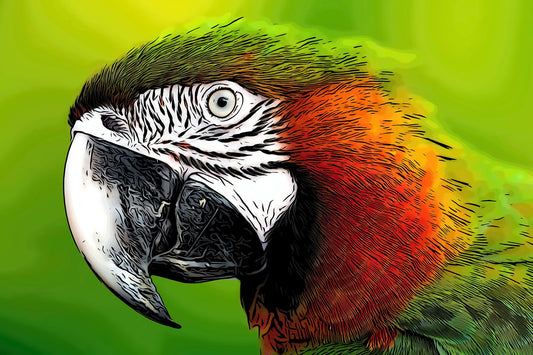 Red/Green Parrot Closeup Fabric Panel - BPT-003C