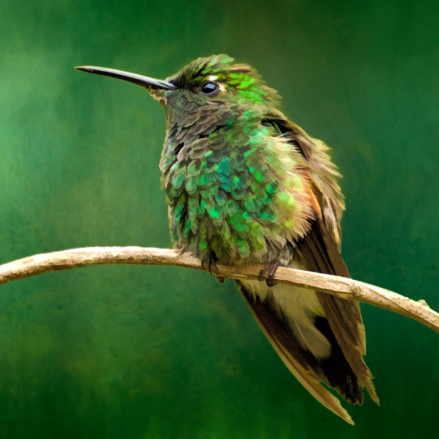 Gorgeous Green Hummingbird Fabric Panel - BHB-022C
