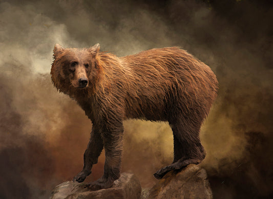 Grizzly on the Rocks Fabric Quilt Panel - ANW-041C