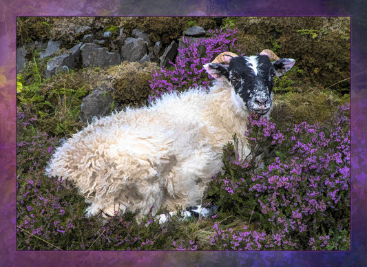 Hanging in the Heather Sheep Fabric Panel - AFF-006C