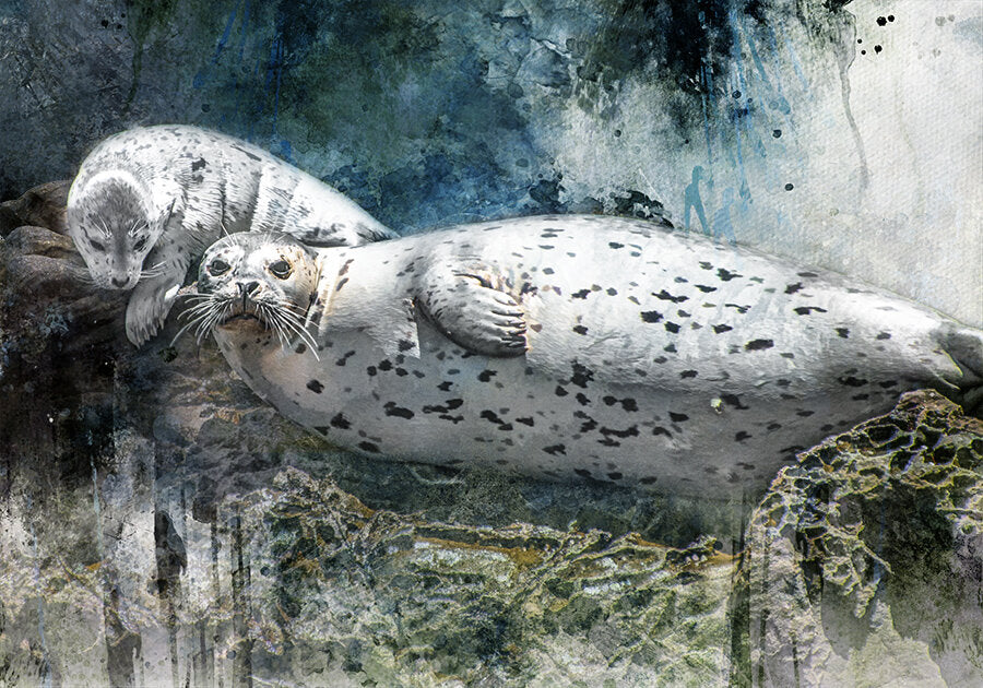 Harbor Seal Family Fabric Panel - OCE-005C