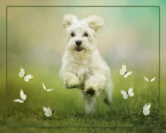 Here He Comes Fabric Panel - ADP-002C