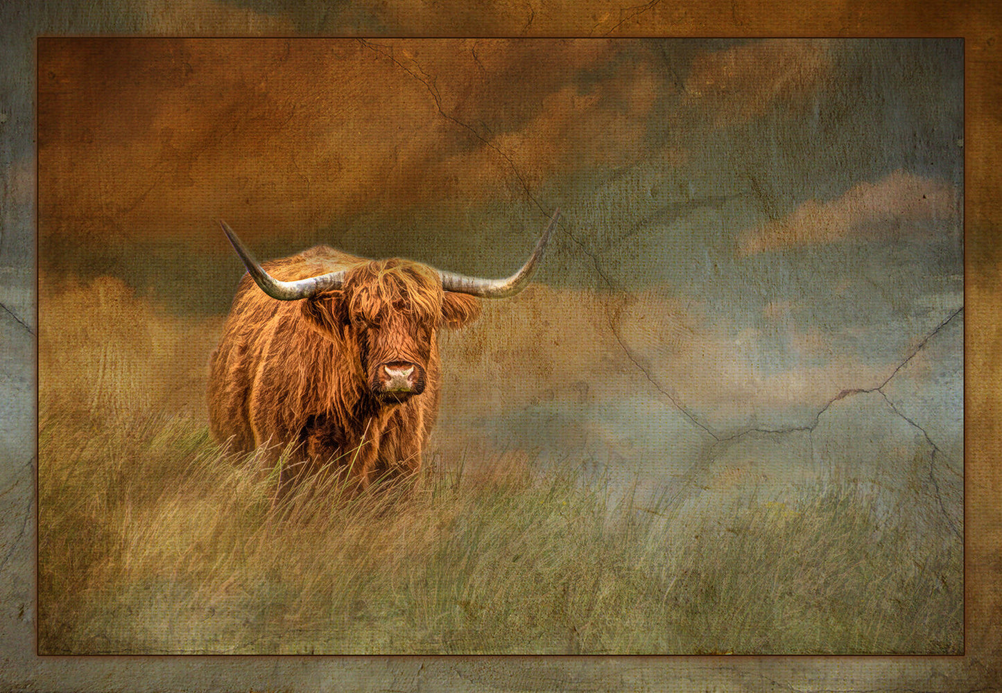 Highland Cow Fabric Panel - ACW-005C