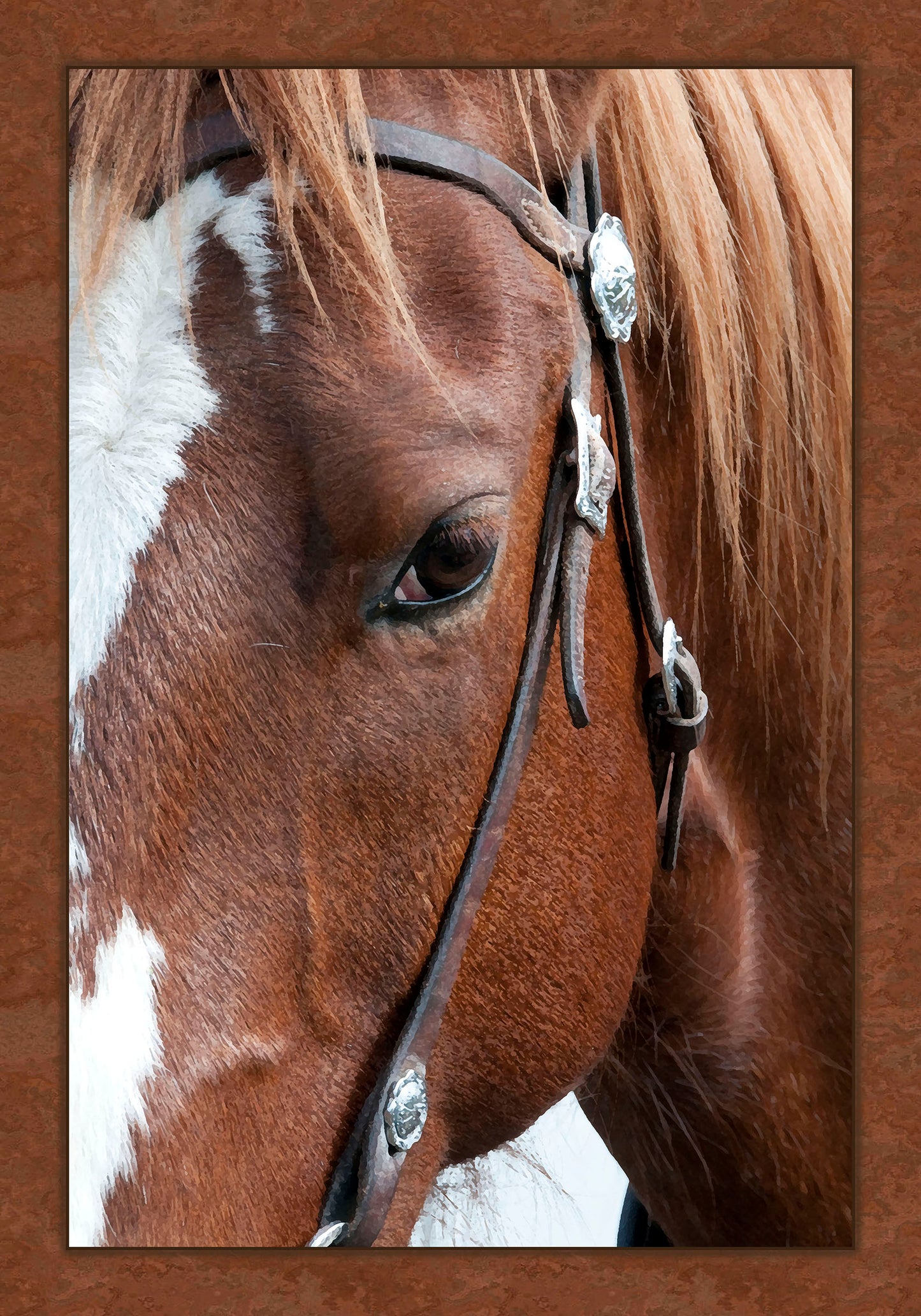 Bay Horse Eye Fabric Panel - AHS-022C