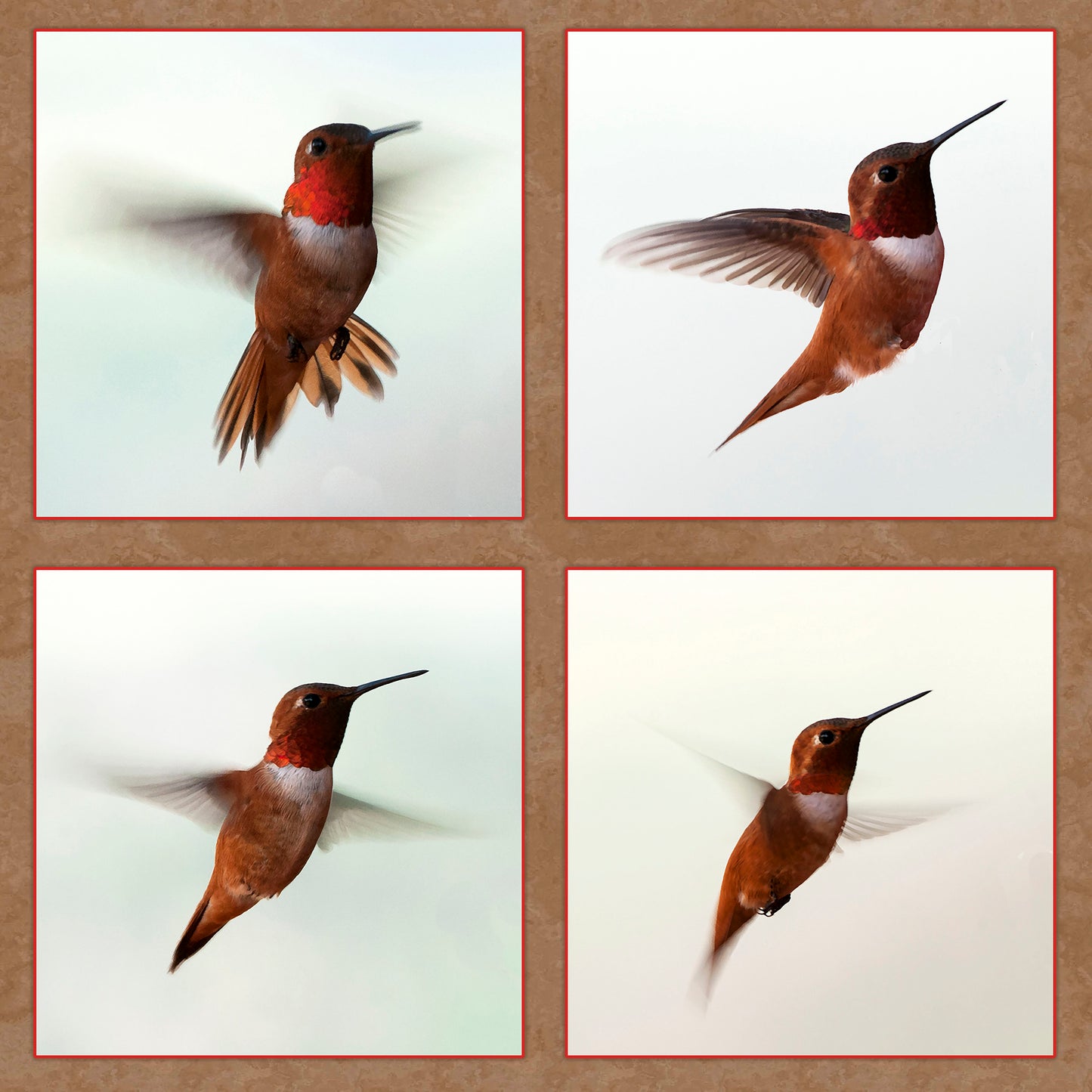 Four Hummingbirds Fabric Panel - BHB-012C