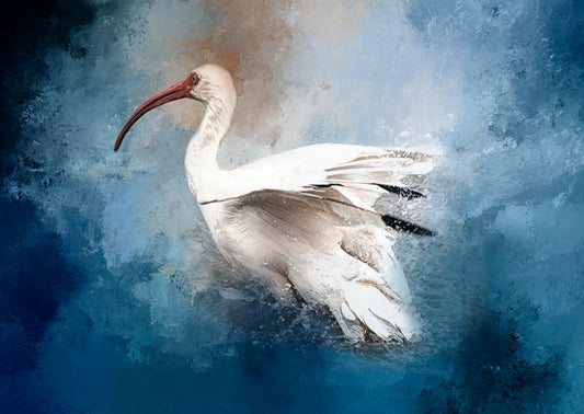 Splashing Ibis Bird Bath Fabric Panel - BSB-005C