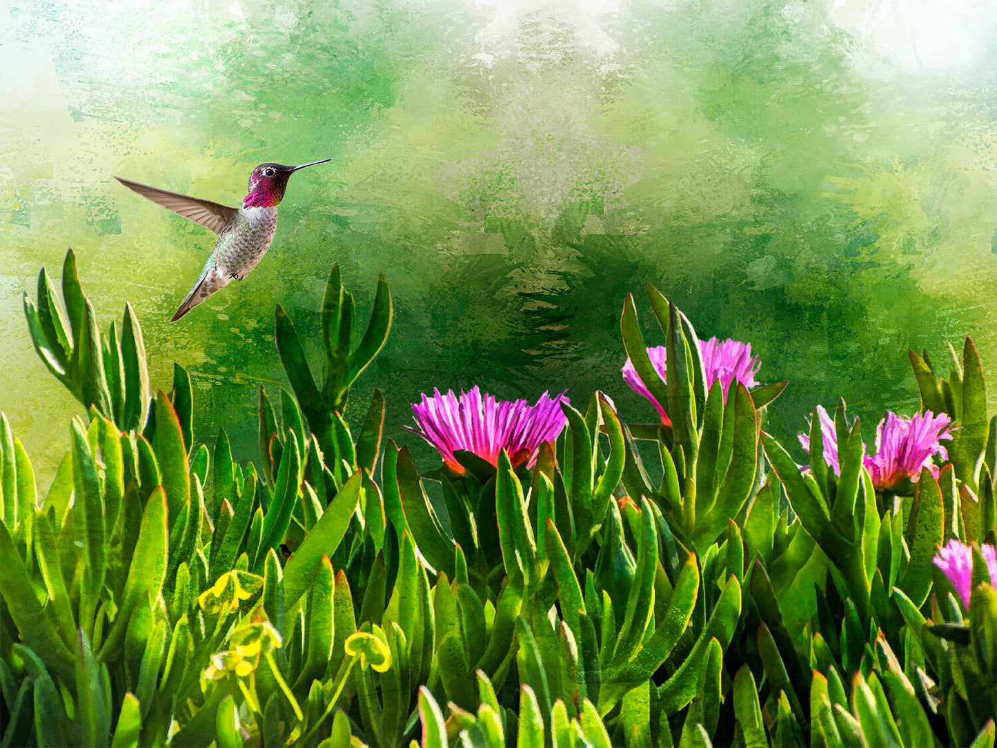 Hummingbird in Ice Plant Fabric Panel - BHB-018C