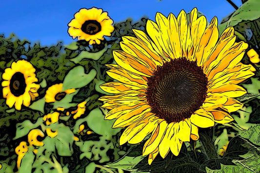 Illustrated Sunflower Fabric Panel - FLR-029C