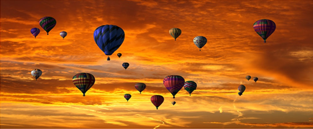 Balloons Galore Quilt Panel - AFT-020