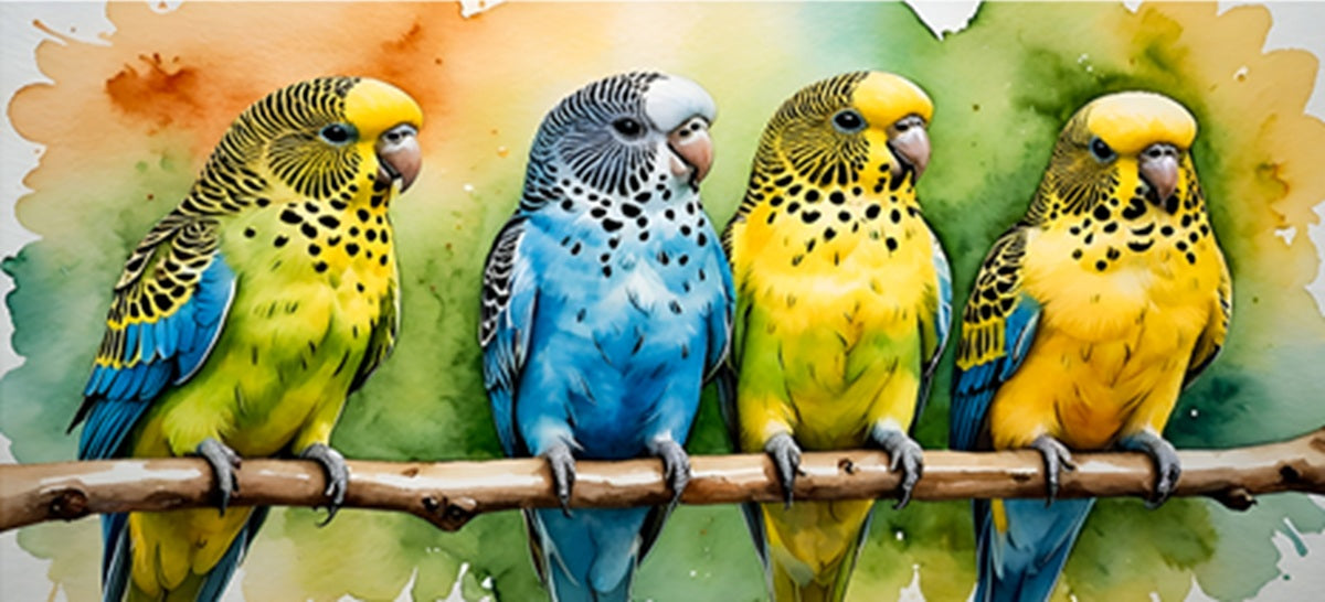 Parakeet Meeting Fabric Panel - BPT-012