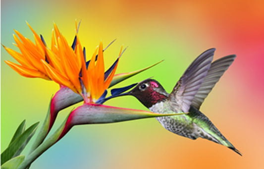 Two Birds Coming Together Fabric Panel - BHB-025