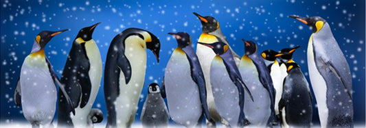 Penguin Gathering Fabric Panel - BLB-030