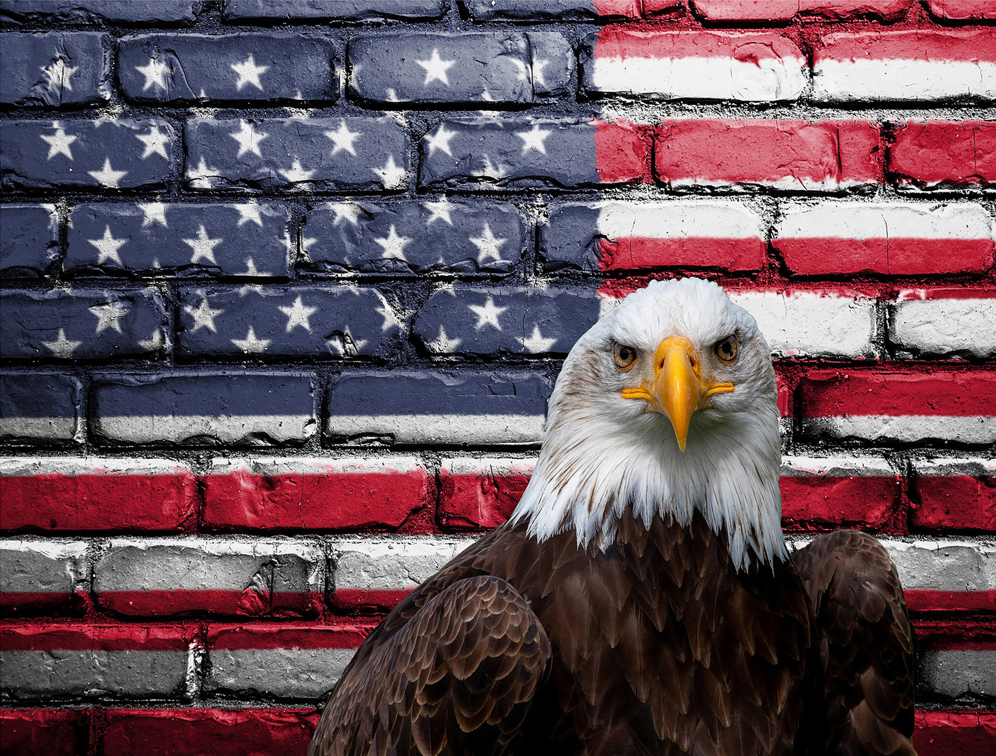 American Pride Fabric Panel - MISC-022C