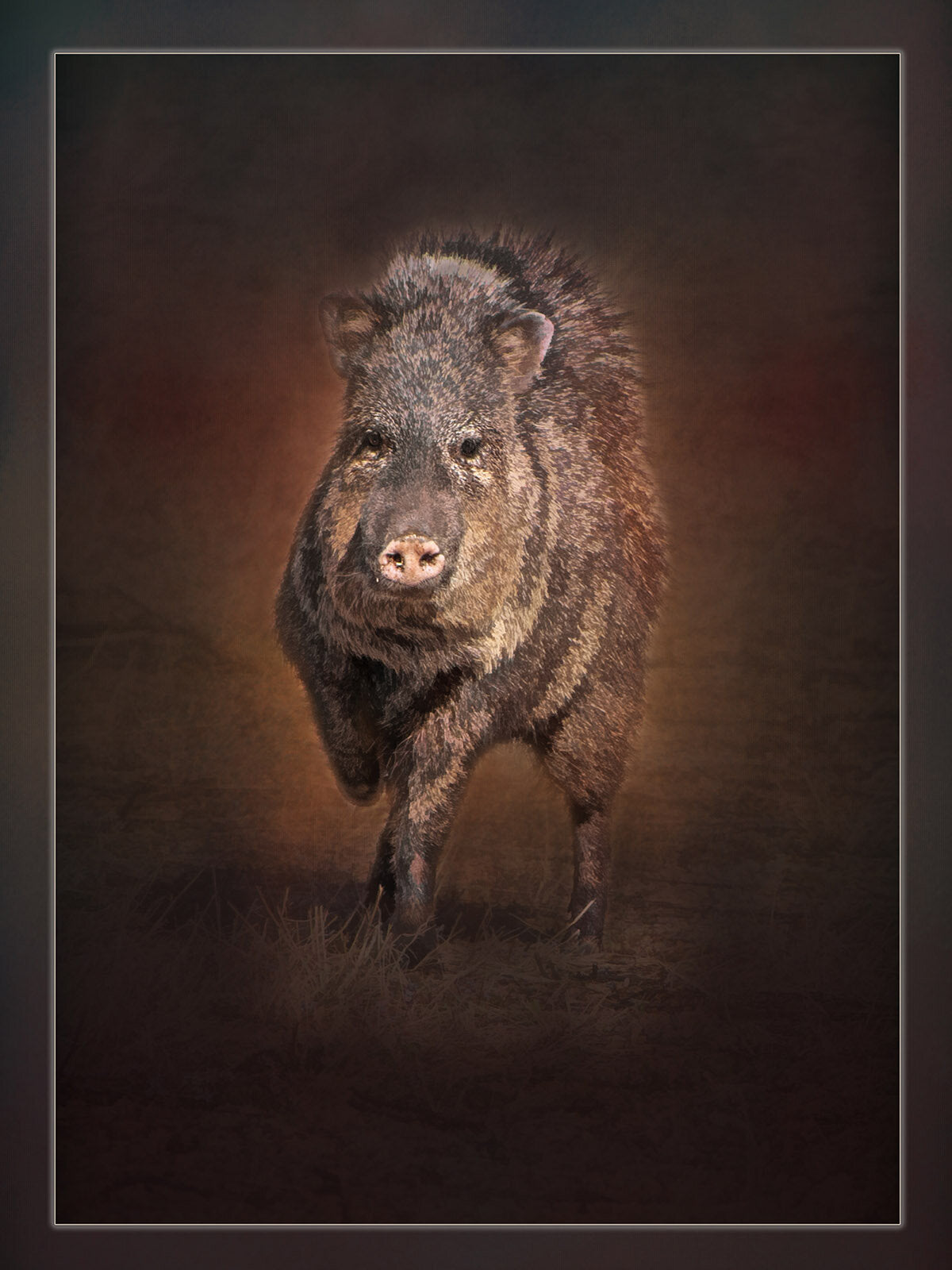 Arizona Javelina Fabric Panel - ANW-061C