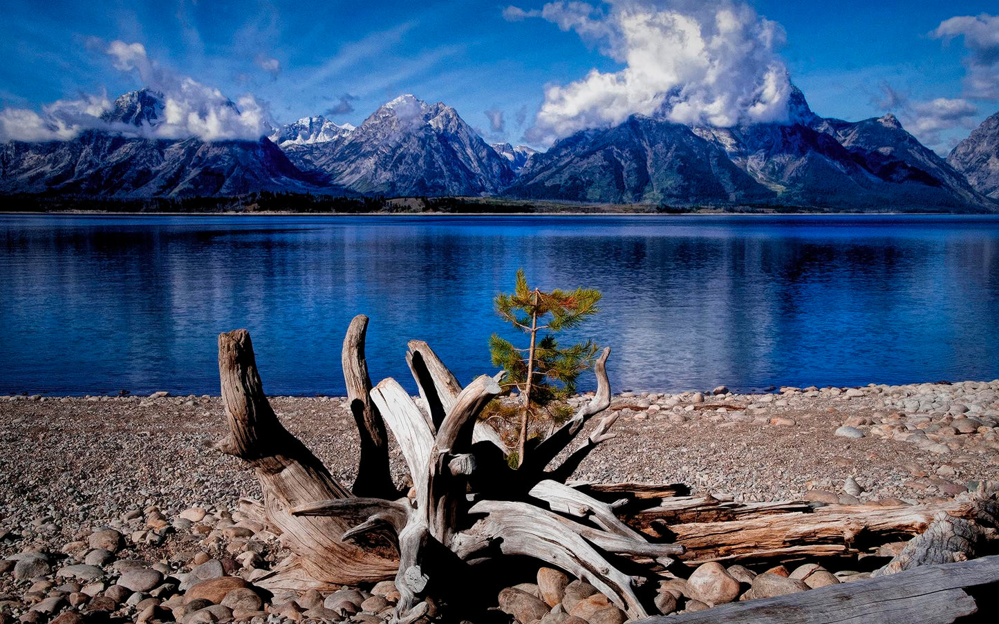 Grand Teton Jenny Lake Beach Fabric Panel - NPGT-009C