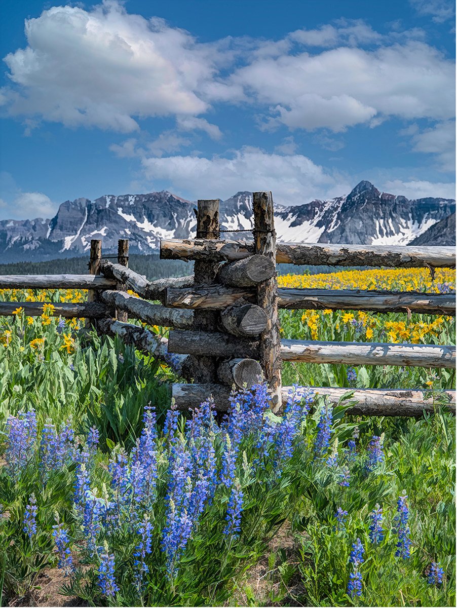 Last Dollar Fence Post Fabric Panel - SCO-006C