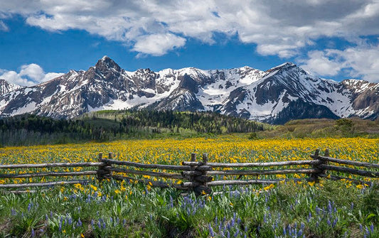Summer in the Rockies Fabric Panel - SCO-010C