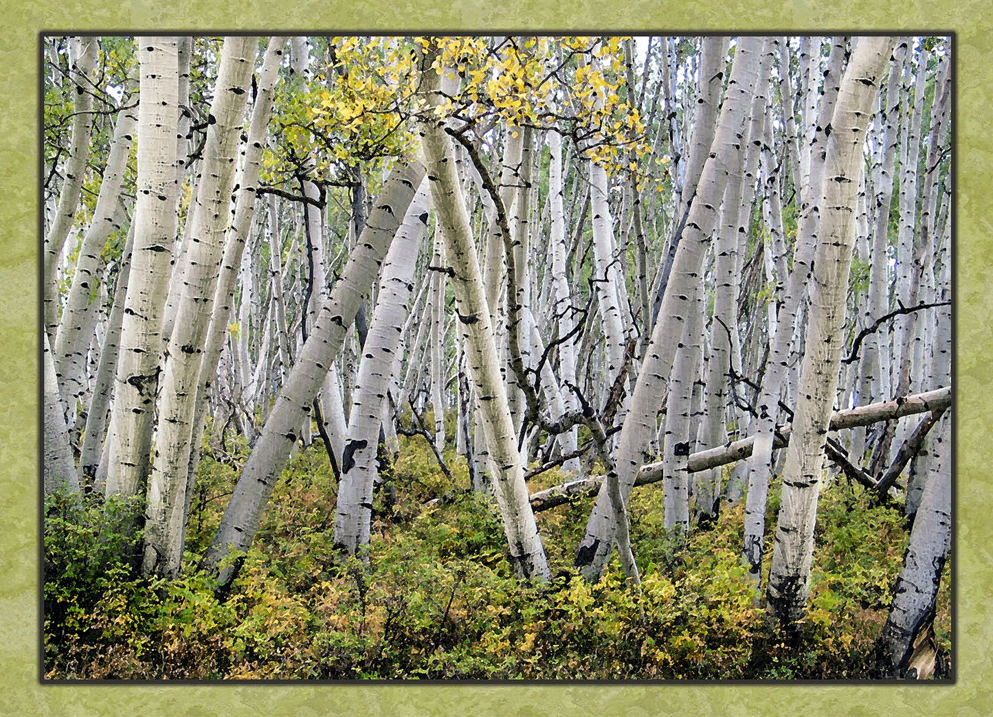 Single Leaning Aspen/Birch Fabric Panel - SFC-003C