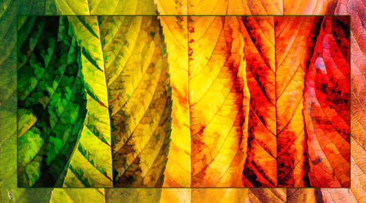 Leaves Up Close Fabric Panel - SFC-011C