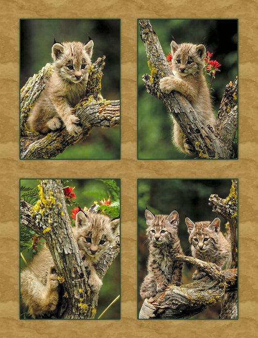 Very Young Big Cats Fabric Panel - AWC-008C
