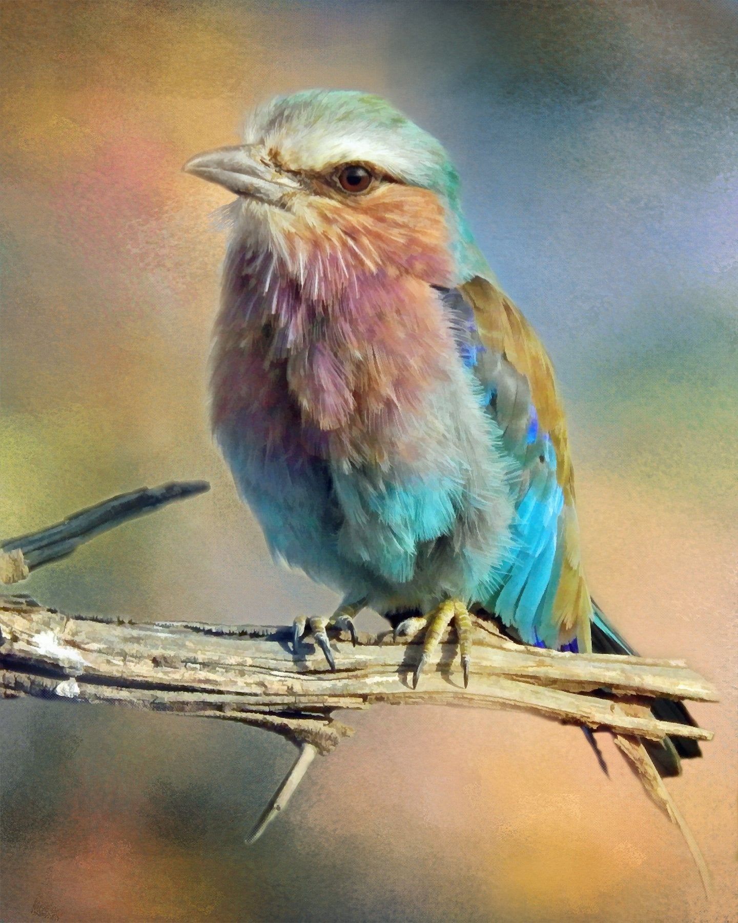 Lilac Breasted Roller Fabric Panel - BOS-008C