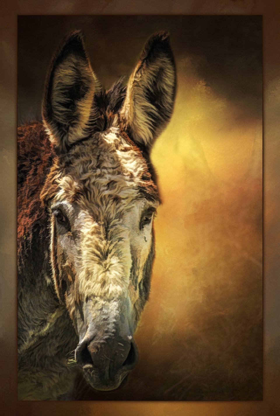 Lonely Donkey Fabric Panel - AFF-003C