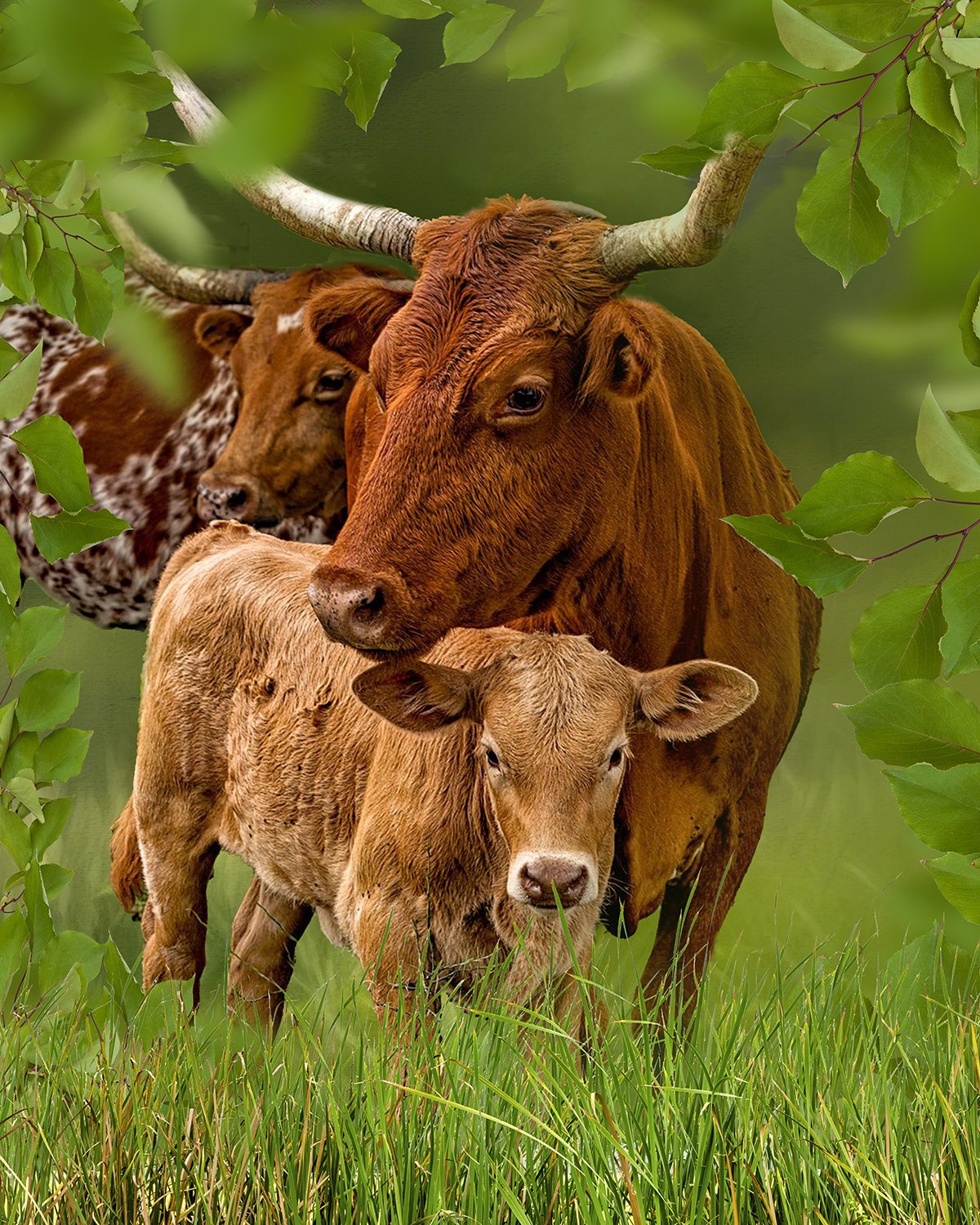 Longhorn Family Fabric Panel - ACW-012C