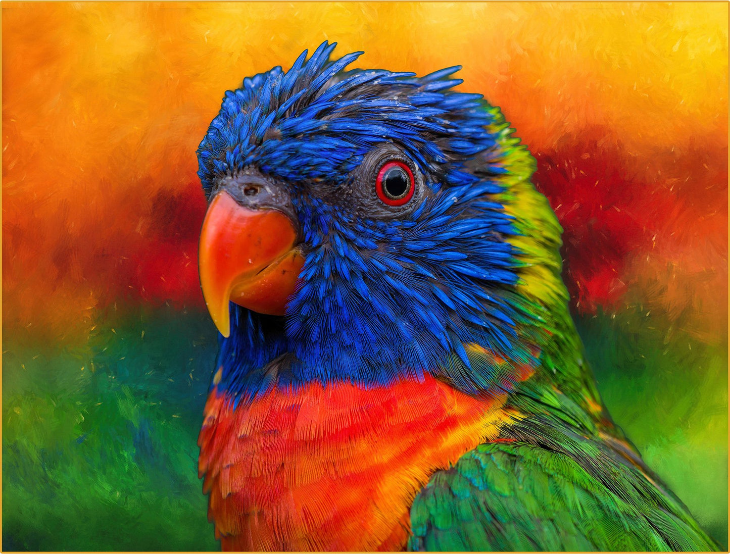 Lovable Lorakeet Fabric Panel - BPT-011C