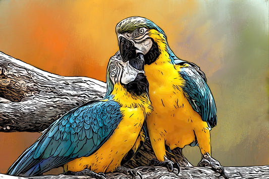 Loving Macaws Fabric Panel - BPT-002C
