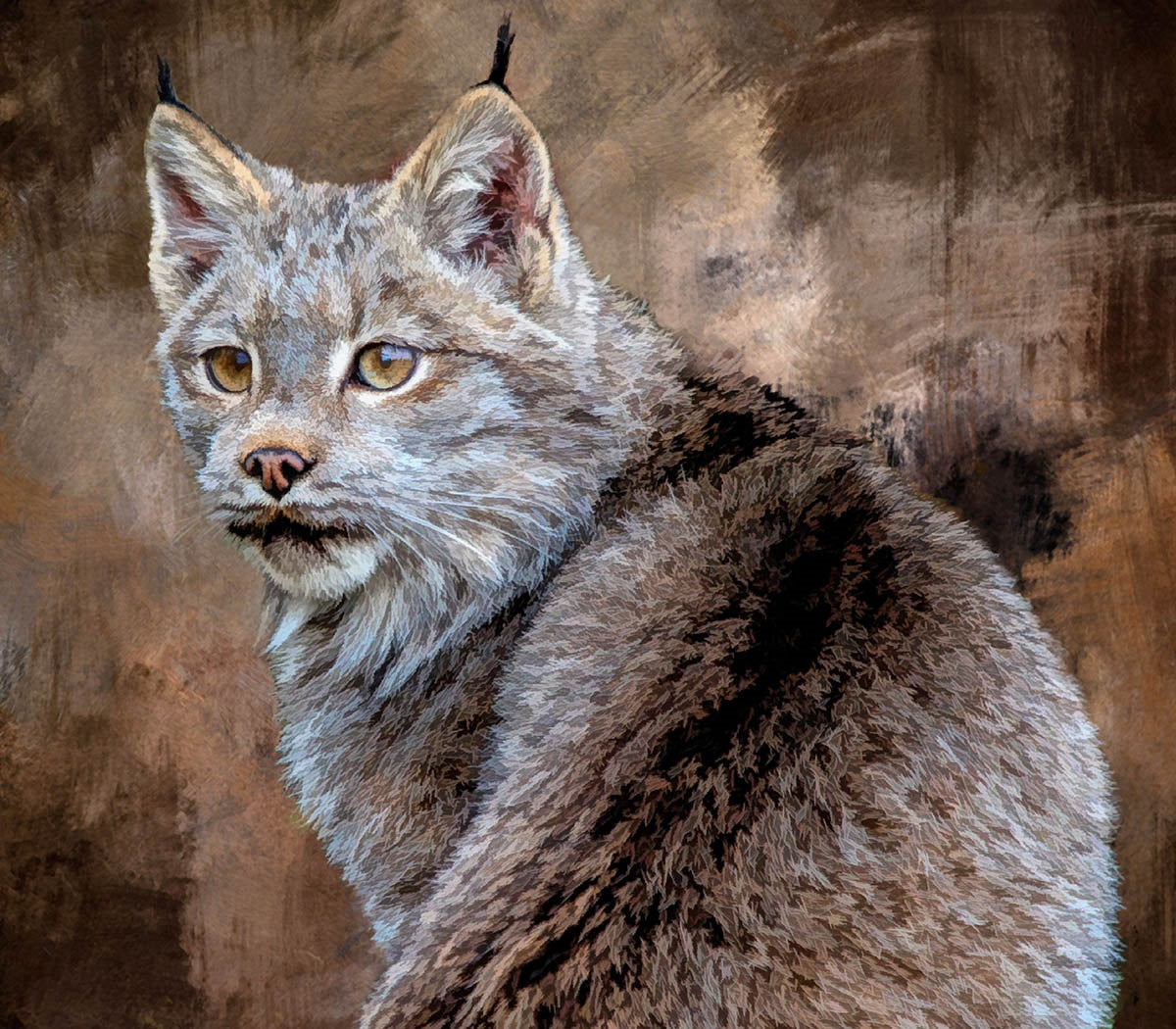 Lynx UpClose Fabric Panel - AWC-006C