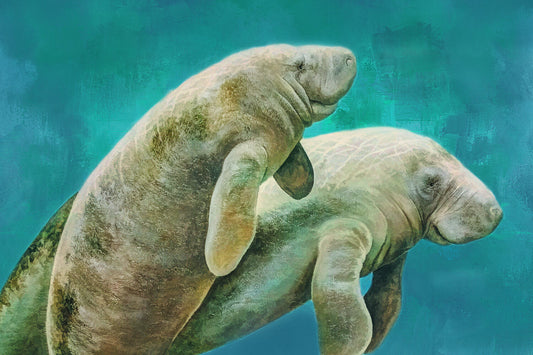 Manatee Family Fabric Panel - OCE-007C