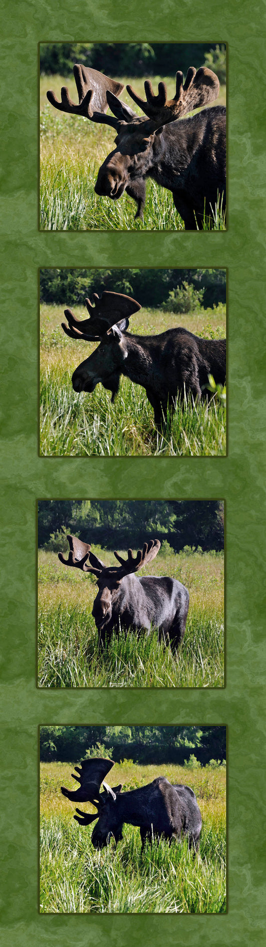 Four Moose Fabric Panel - ANW-032C