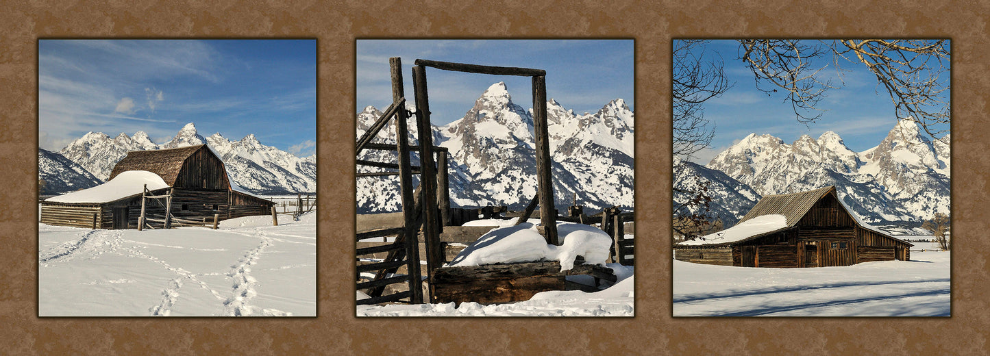 Morman Row Tetons in Winter Fabric Panel - NPGT-003C