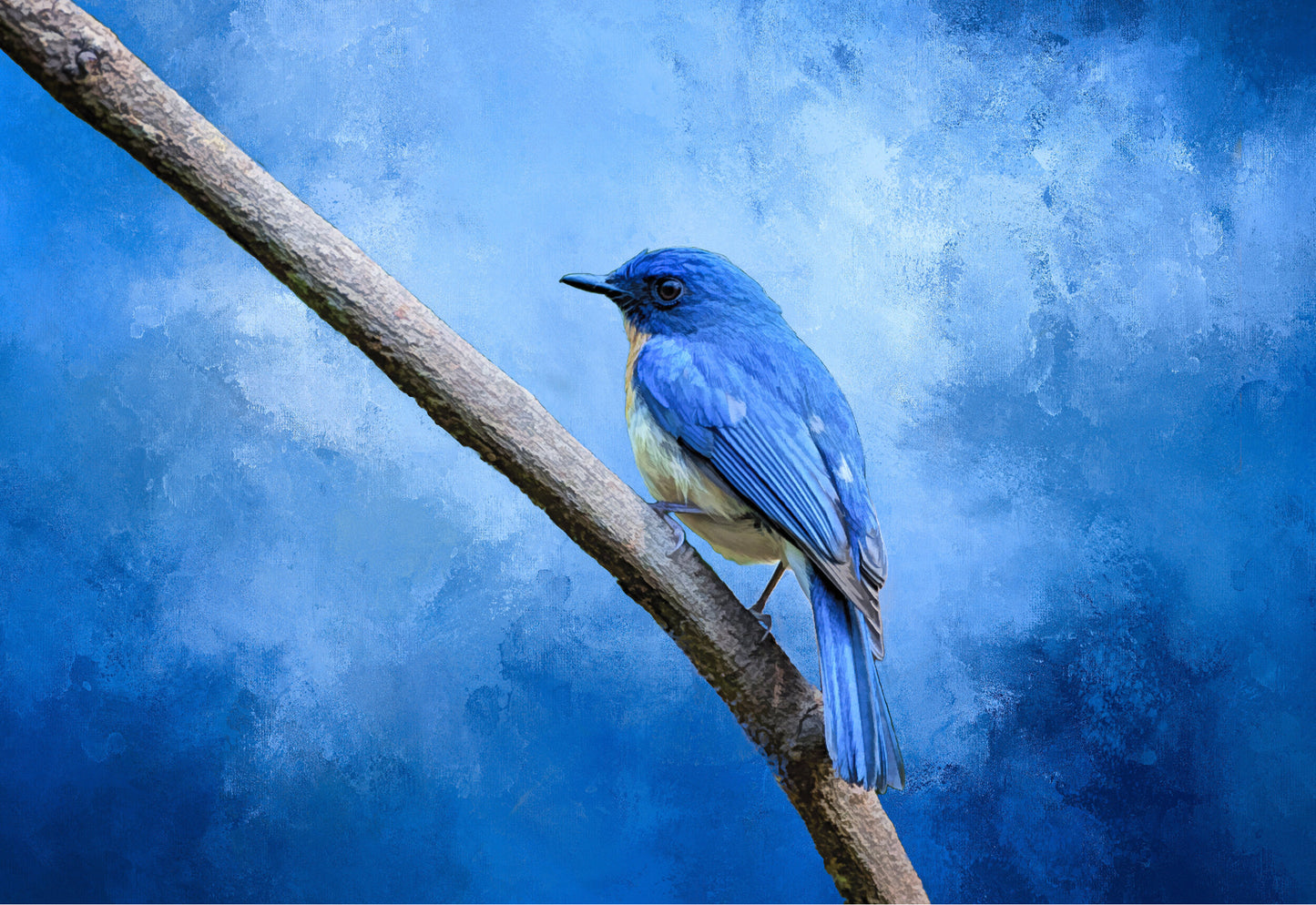 Mountain Bluebird Fabric Panel - BRB-009C