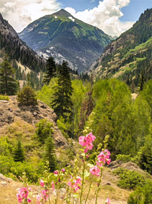 Mountain Hollyhocks Fabric Panel - SCO-005C