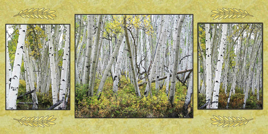 Three Panel Leaning Aspen/Birch Fabric Panel - SFC-004C