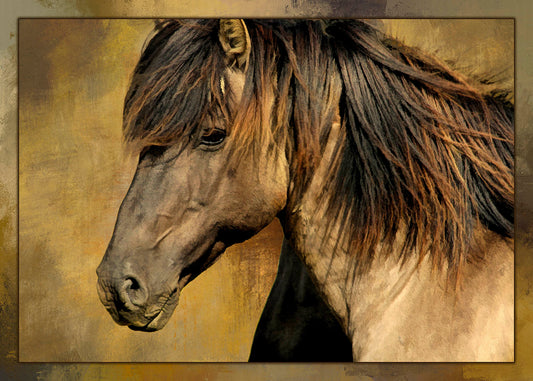 Mustang Head Shop Fabric Panel - AHS-032C
