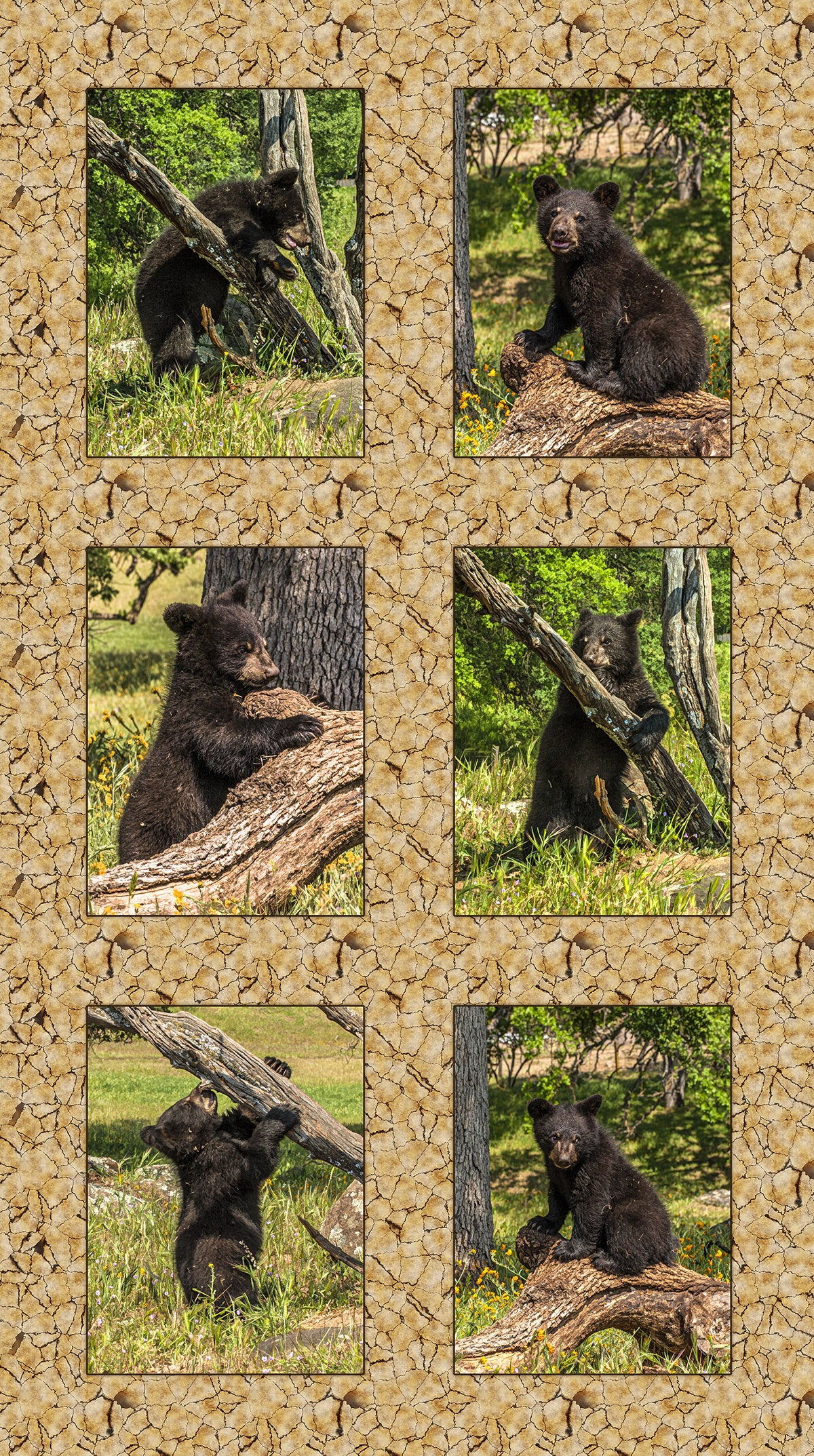 Six Black Bear Cubs Fabric Panel - ANW-049C