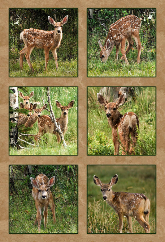 Six Mule Deer Fawns Fabric Panel - ANW-011C