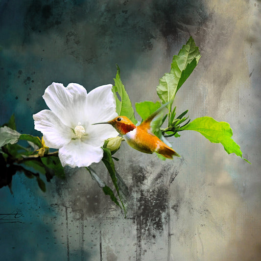 Hummingbird Against Abstract Background Fabric Panel - BHB-020C