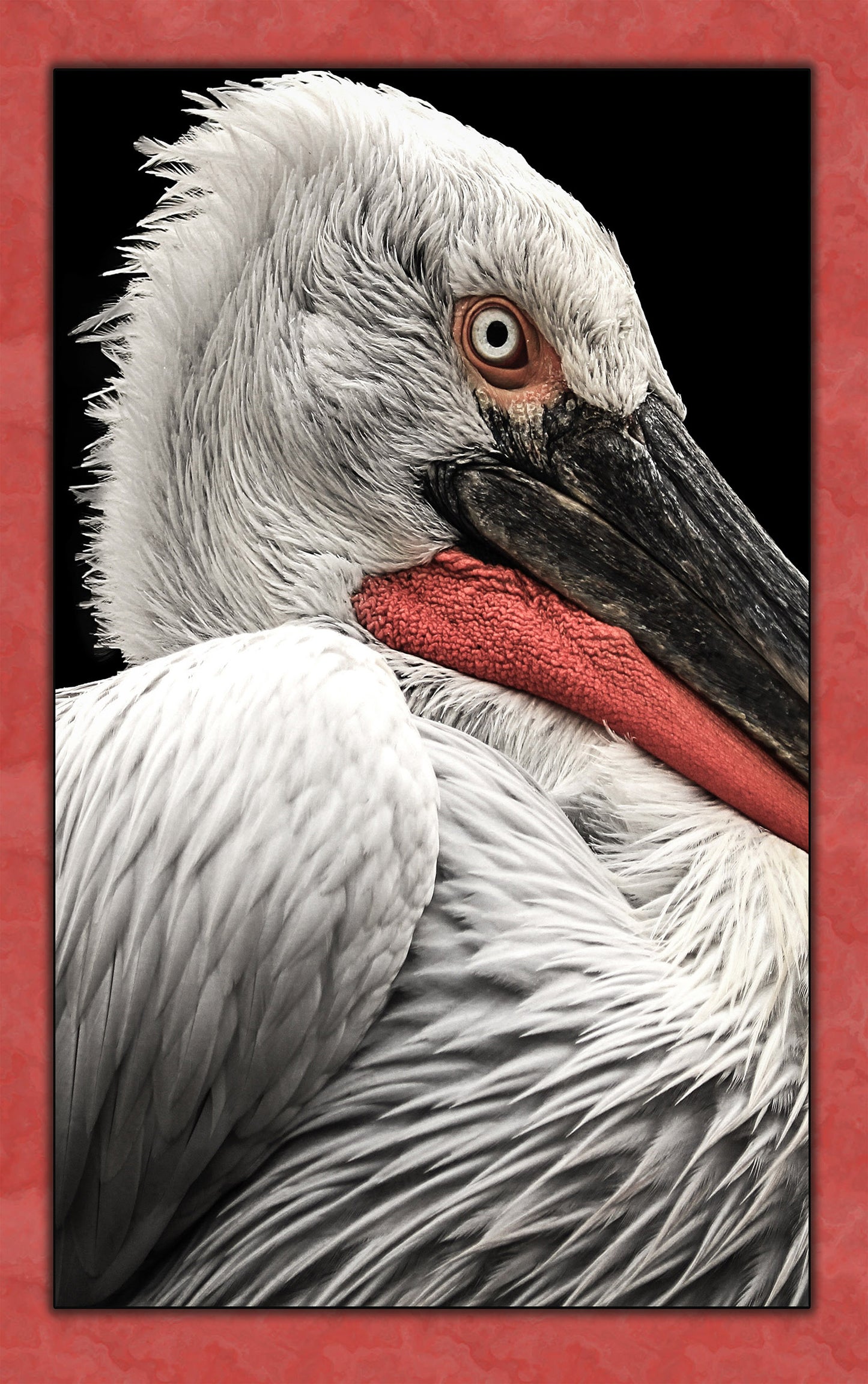 Macro Pelican Fabric Panel - BLB-011C