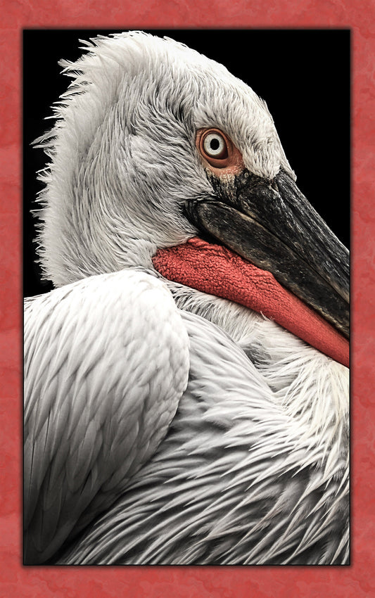 Macro Pelican Fabric Panel - BLB-011C