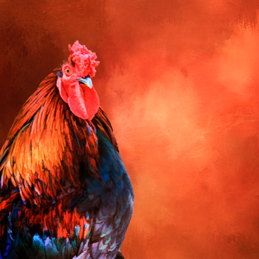 Vibrant Rooster Fabric Panel - BCR-005C