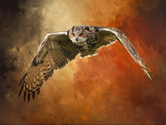 Owl on the Prowl in Flight Fabric Panel - BBP-003C