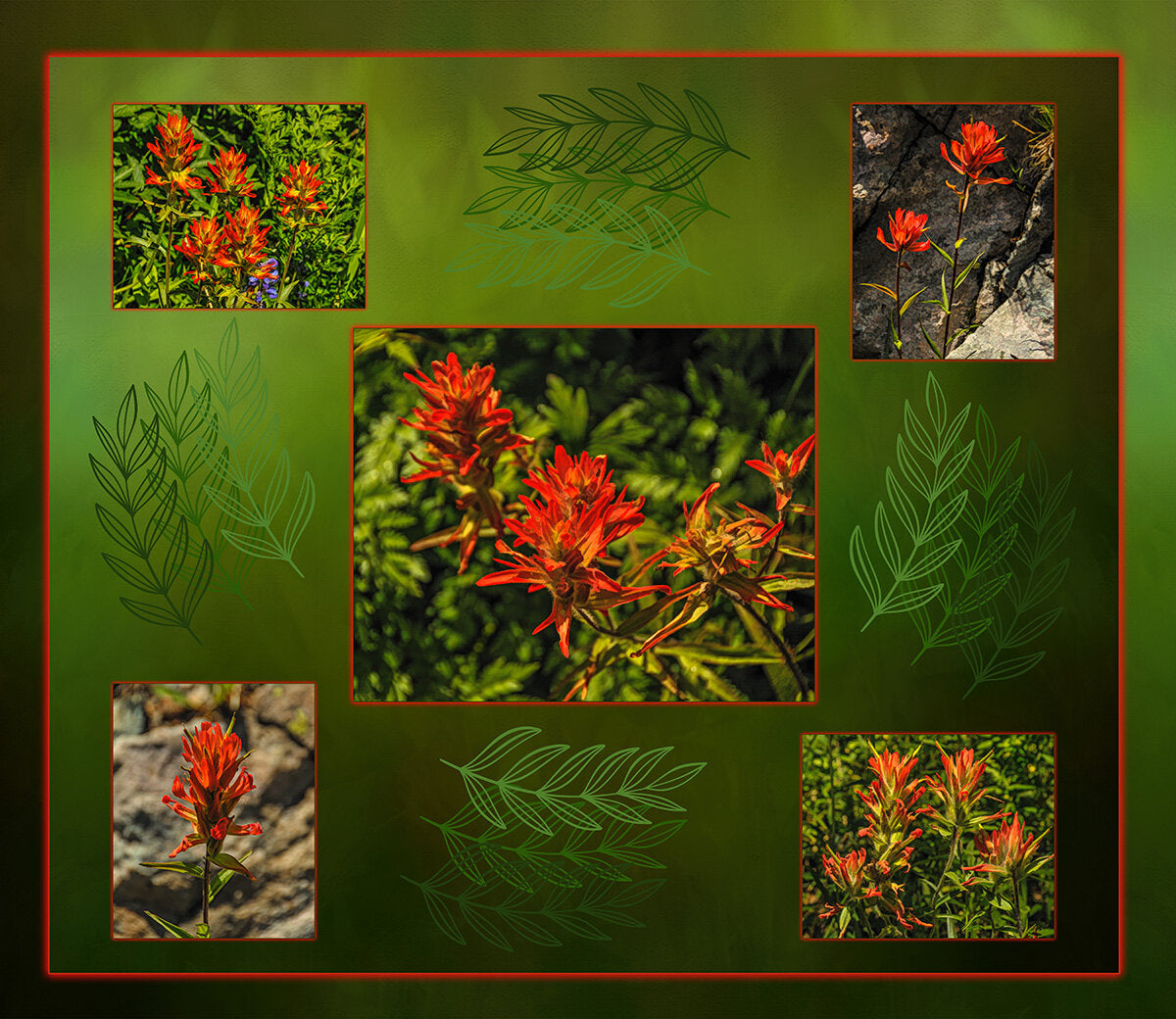 Indian Paintbrush Composite Fabric Panel - FLR-021C